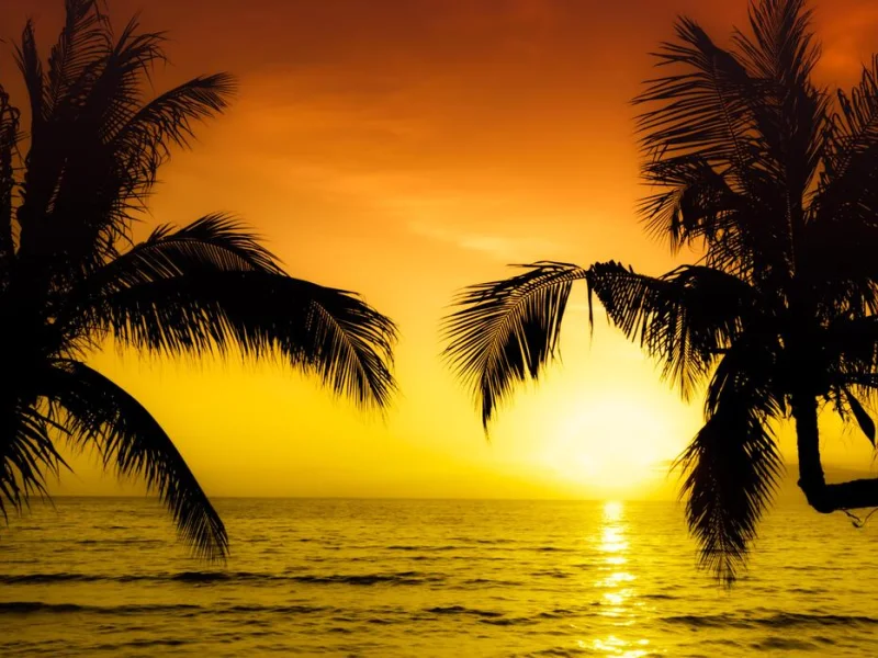 Alanyada Eşsiz Güzellikte Korsan Tekne Turu Gezisi